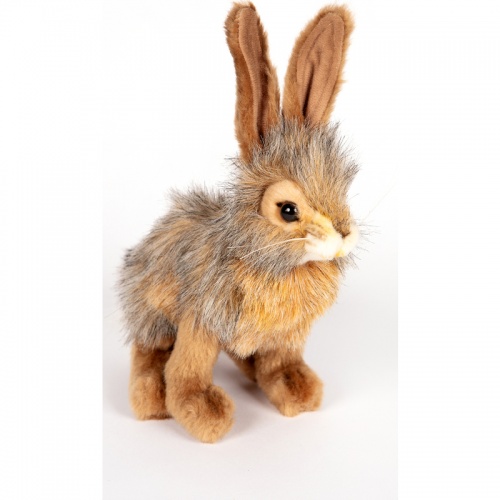 Jack Rabbit 22cmH Plush Soft Toy by Hansa