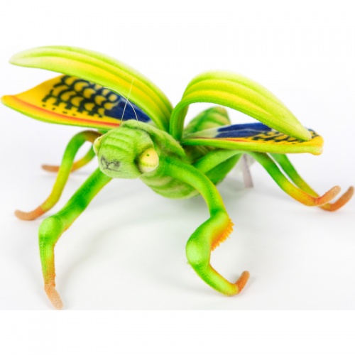 Praying Mantis 26cm Realistic Soft Toy by Hansa