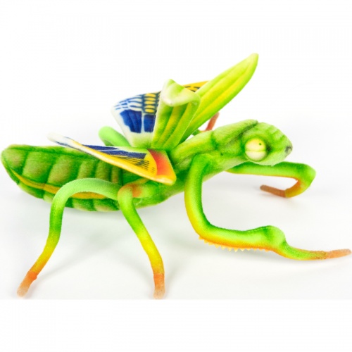 Praying Mantis 26cm Realistic Soft Toy by Hansa