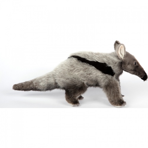 Giant Anteater 35cm Realistic Soft Toy by Hansa