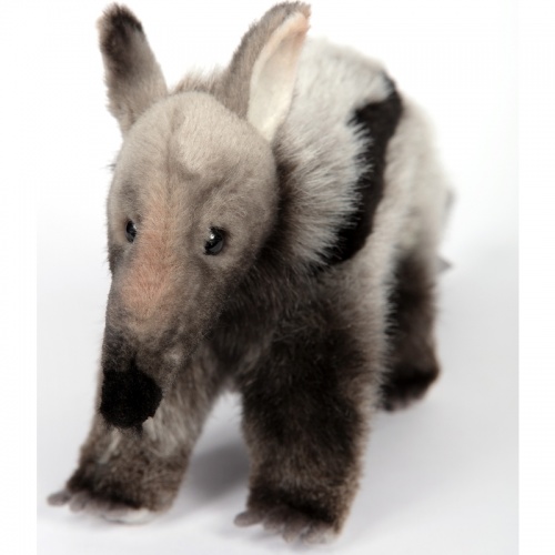 Giant Anteater 35cm Realistic Soft Toy by Hansa